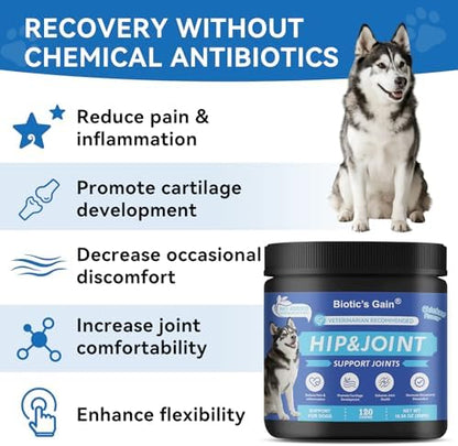 Biotic’s Gain Dog Joint Supplement | Glucosamine for Dogs | 120 Soft Chews