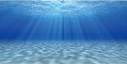 AWERT Undersea Theme Aquarium Background Sunshine Underwater World Fish Tank Background 30x12 inches