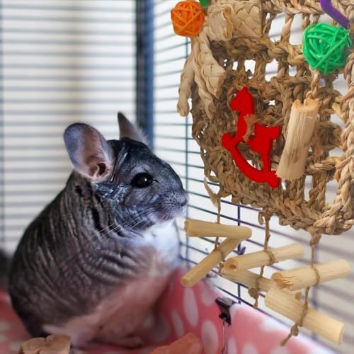 Rabbits Chew Toy, Bunny Cage Hanging Chew Toys and Treats
