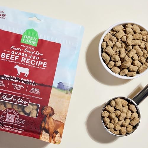 Open Farm Freeze Dried Raw Dog Food, Beef Bite-Sized Morsels, 22oz Bag