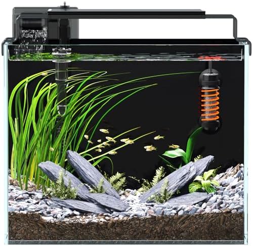 3 Gallon Fish Tank Starter Kit with Heater Filter Light Glass Rimless