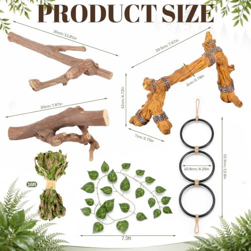 Layhit 5 Pcs Snake Climbing Branch Ring Reptile Wood Trunk Tank Decor Reptile Climbing Habitat Accessory for Terrarium Tree Trunk Ornament Gecko Frog Chameleon Spider