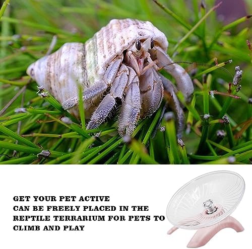 Hermit Crabs Wheel Toy, Hamster Running Wheel Toys, Small Animals Cage Accessory, Tank Accessory, Suitable for Hermit Crab Hamster Rat