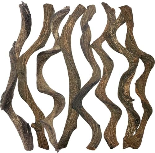 Reptile Decor 8PCS Natural Forest Branch Terrarium Habitat Decoration Lizard Climbing Tree Branch for Bearded Dragon Gecko Snake Frog Chameleon Spider