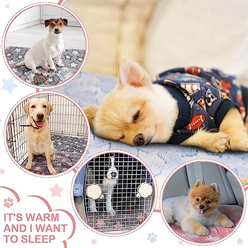 Reginary 4 Pcs Guinea Pig Fleece Cage Liners, Cute Star, 28 x 56 Inch