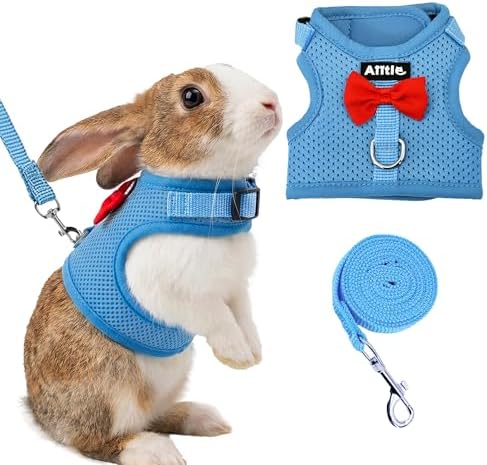 AIITLE Breathable Bunny Harness and Leash Set with Cute Bow, Blue S