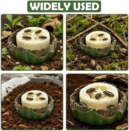 Cockroach Water Basin & 3 Loofah Set, Dubia Roaches Live Habitat Reptile Container Supplies for Terrariums & Enclosures, Comfortable Habitat for Roaches Live, Isopods, Springtails, Crickets