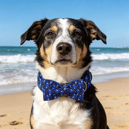 Dog Collars, Summer Blue Dinosaur Pet Collar Adjustable Cotton Boy Dog Collar with Bow Metal Buckle Bowtie Collars for Small Dogs