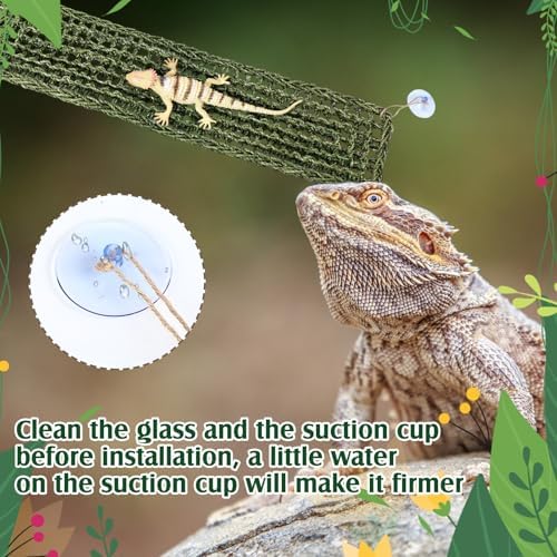 Silkfly Large Beard Dragon Hammock, 30 x 7 Inch, Rectangle, Green