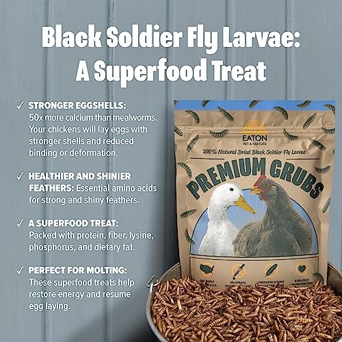 Eaton Pet and Pasture Premium Grubs, USA Grown Dried Black Soldier Fly Larvae, High Calcium Treat for Chickens, Ducks, Wild Birds (1 LB)