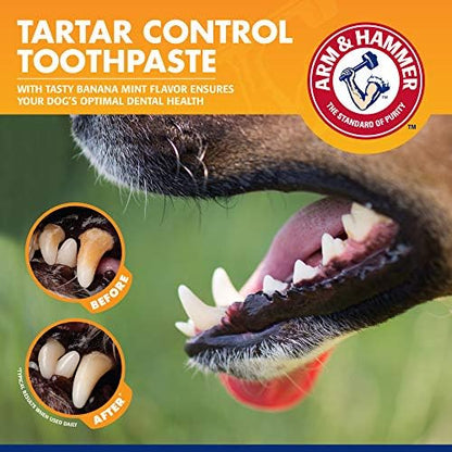 Arm & Hammer Tartar Control Dog Dental Kit, Banana Mint, 3-Piece, 48-Pack