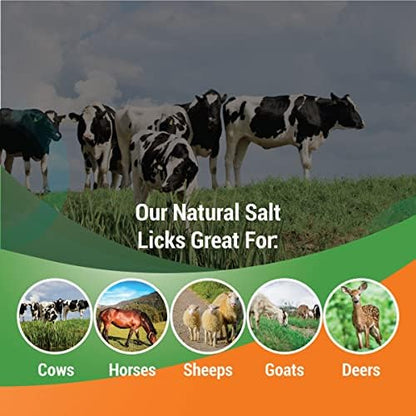 Himalayan Lick Animal Salt Block on Rope (Pack of 2) (Approx. 9 lbs) 100% Natural and Organic for Horses/Deer/Livestock- Free of Harmeful Chemicals
