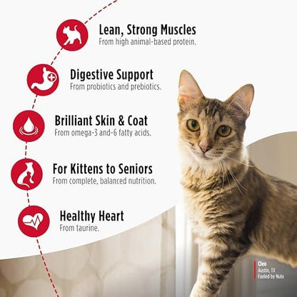 Nulo Freestyle Cat & Kitten Dry Food - Chicken & Cod Recipe, High Protein Grain Free Cat Food, Natural Kibble with Probiotics & Omega Fatty Acids, 14lb Bag