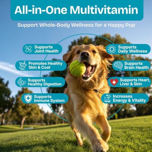 All-in-One Dog Vitamins, Dog Multivitamin, Chews, Chicken, 120 Ct