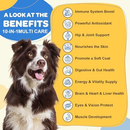 ZEBORA Dog Multivitamin - Vitamins and Supplements - 120 Freeze-Dried Chews