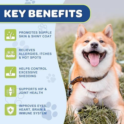 NATURE TARGET Omega 3 Salmon Oil for Dogs, Skin & Coat Health, 180 Count