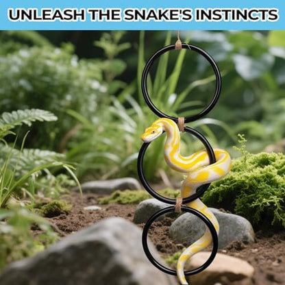 2 Pack Snake Climbing Rings for Ball Python & Corn Snake,Reptile Enrichment Toys for Snake,Ball Python Tank Decor, Reptile Tank Accessories for Bearded Dragon,Chameleon, Iguana, Gecko, Lizard (Black)