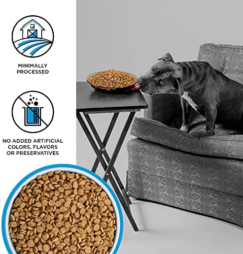 BIXBI Liberty Grain-Free Dry Dog Food, Fisherman’s Catch Recipe – Fresh Fish, High Protein, No Meat Meals – USA Made, 22 lbs