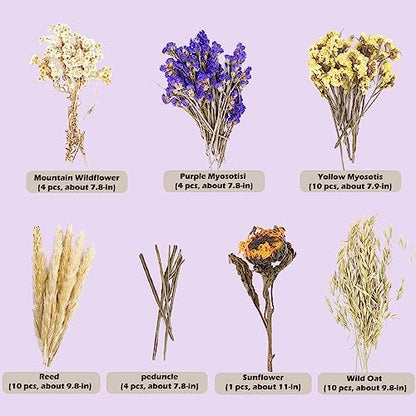 Natural Ear of Grain Flower&Herb Bedding Mate Habitat Decor, Adding Fun Hamster Accessories for Hamsters Gerbils Lemming