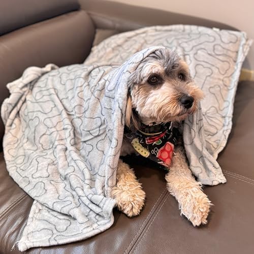 SPOT Snuggler Bones Blanket - Ultra Soft, Machine Washable Dog Blanket for Beds, Furniture Protection, Travel, and Crates - 40 x 60 inch, Grey Fleece Throw with Bone Print Design