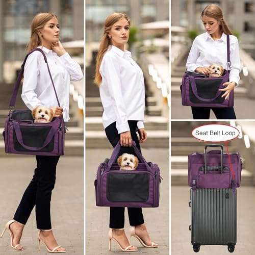 EliteField Deluxe Soft Pet Carrier for Cats and Dogs (3-Year Warranty)