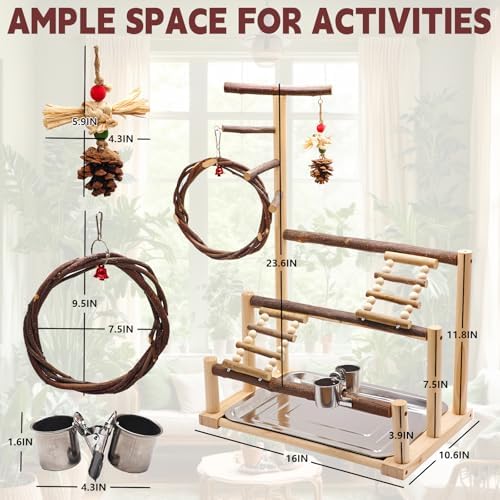 Bird Playground Wooden Parrot Stand for Small and Medium Birds