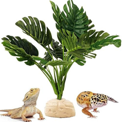 Reptile Plants for Terrarium Decor,Leopard Gecko Tank Plants