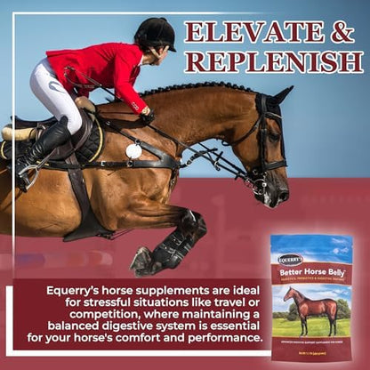 EQUERRY'S Better Horse Belly - Supplement for Horses with Gut Support | Probiotics with Prebiotics and Digestive Enzymes | for Colic, Digestive Upset - 3.2LB