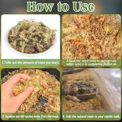 Sphagnum Moss for Reptiles, 1.1 lb Natural Terrarium Substrate Bedding