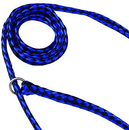 Guardian Gear Animal-Control O-Ring Slide Leads, 5' Long x ⅝" Wide, 12-Pack, Assorted Colors