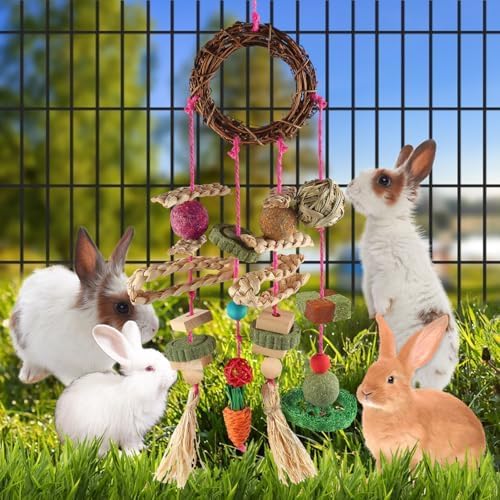 YIXUND Rabbit & Guinea Pig Toys - Hamster & Bunny Toys - Natural Timothy Hay & Apple Wood Sticks - Chinchilla Teeth Care - Handmade Dream Catcher