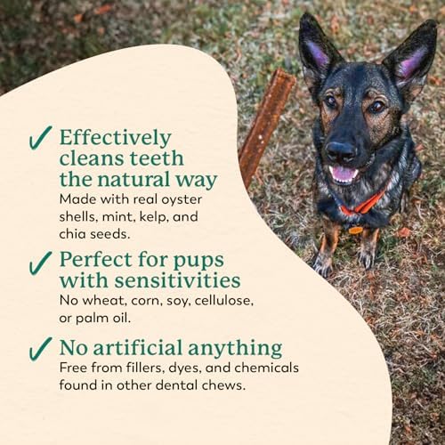 Dr. Harvey's Holistix Dental Chews for Dogs for Fresh Breath (24 Sticks)