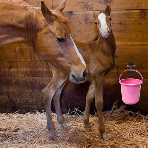 12PCS Horse Water Bucket Hooks - Heavy Duty Iron Bucket Holder for Horse Stalls, Barns, Farmhouse Supplies - Black, 3.4x1.1x1.9 Inches