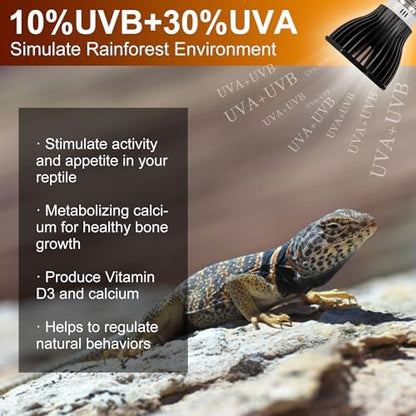 UVB Reptile Light Bulb 10.0, 5W LED High Intensity UV Replacement Lamp Bulbs for Desert Reptiles Bearded Dragons Lizard Tortoise Iguanas Chameleons Snake - 1 Pack