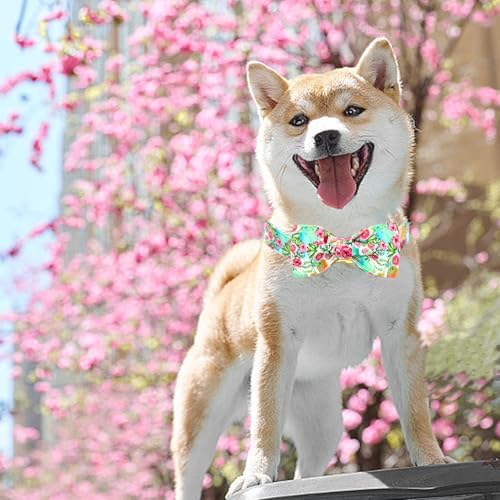 Dog Collar Cute Flowers Print Dog Collar Soft Pet Collar with Bow Adjustable Metal Buckle Collar Gift Collar for X-Small Dogs