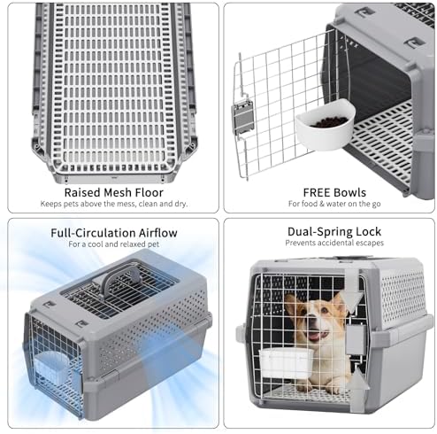 RIZZARI Hard-Sided Elevated Carrier: Rolling Pet Crate Ventilated 25 lbs