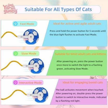Cat Enrichment Toy, Chase Toy for Bored Indoor Adult Cats