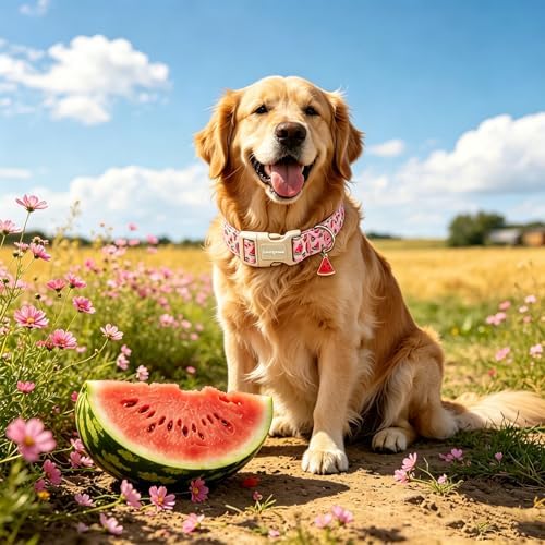 Lionet Paws Pink Watermelon Dog Collar Sweet Spring Summer Collars with Cute Watermelons Pattern Pendant - Female Girl Dog Collar for Small Medium Large Dogs S