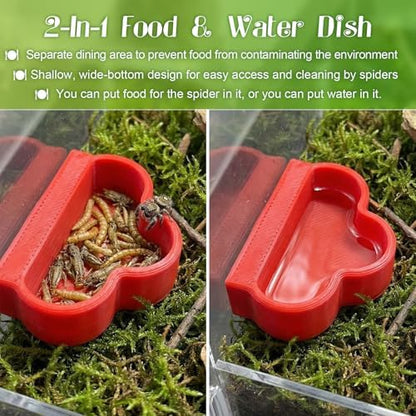 6 Pcs Jumping Spider Enclosure Accessories with Magnetic Mushroom Hide