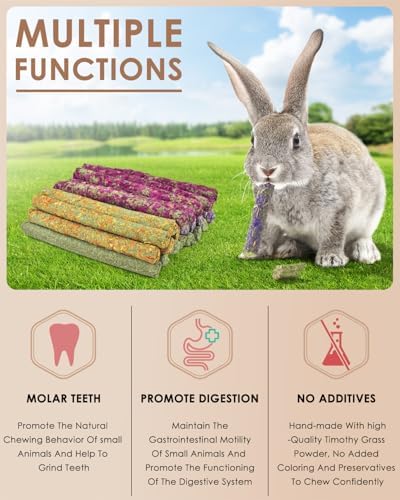 Bissap 22PCS Rabbit Chew Sticks, Natural Molar Treats for Small Pets