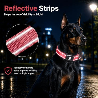 GPS Dog Collar with Tracker, Waterproof, No Monthly Fee, Red, L