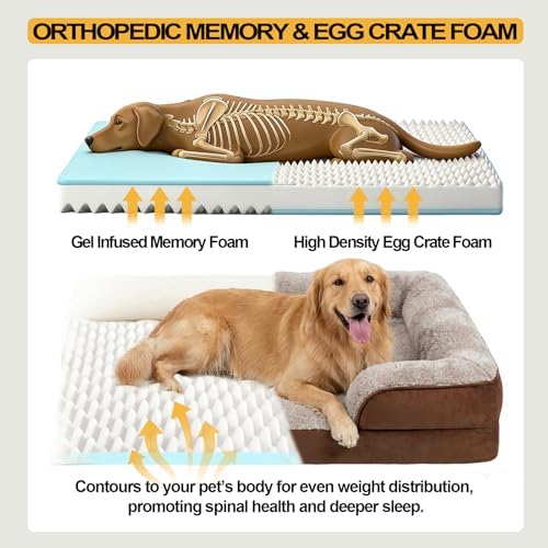 Orthopedic Dog Beds Large Sized Dog, Memory Foam Dog Bed Couch, 36"L