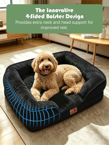 Spotted Play Orthopedic Dog Bed with Sides - Sofa Beds for Extra Large Dogs, Supportive Foam Pet Couch Bed with Washable Removable Cover, Waterproof Lining and Non-Slip Bottom, Black - XL