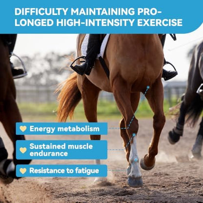 Horse Calming Support Powder – Helps Maintain Relaxed Behavior & Focus | Equine Taurine & Magnesium Blend | 15-Day Supply