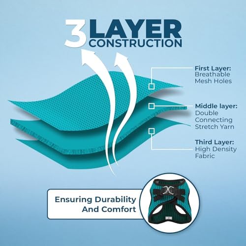 Best Pet Supplies - All Weather Mesh/Plush, Reflective, No Pull Harness for Small, Medium Dogs, Cats - Secure with Hook & Loop Fastener, Buckle, Double D-Rings - Turquoise 2-Tone, M