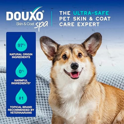 DOUXO SPA Dog Deodorizing Spray, 11.5 fl oz