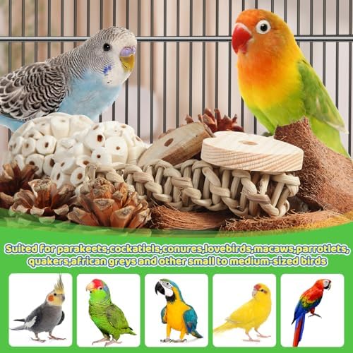 Kyouki Bird Toys Parrot Natural Bird Foraging Box Foot Toys for Parakeets,Cockatiels,Conures,Love Birds,and Other Small to Medium Birds (Large)