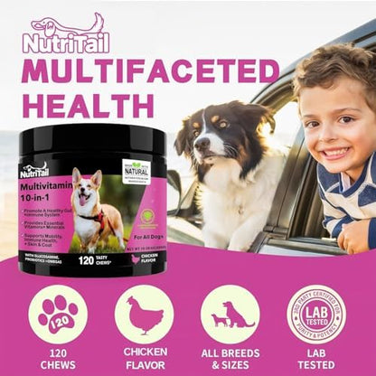 NutriTrail Multivitamin for Dogs – 10-in-1 Soft Chews with Glucosamine, Probiotics, Omega-3, Vitamins & Minerals – Supports Hip & Joint, Digestion, Skin & Coat, and Immune Health – Chicken, 120 Ct