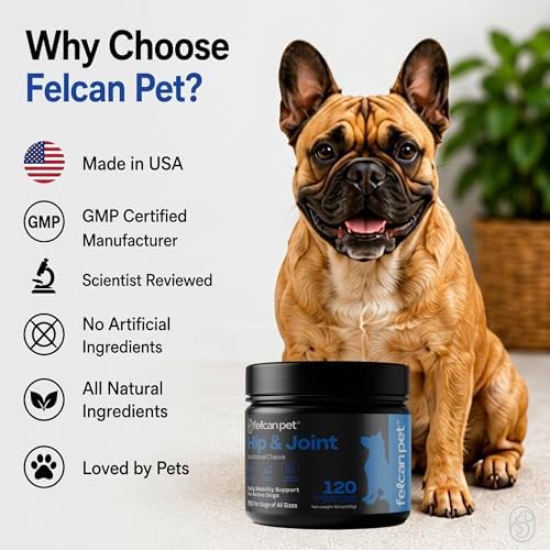 Hip & Joint Chews for Dogs – Glucosamine, Chondroitin, MSM & Green Lipped Mussel – Supports Mobility & Joint Health for Dogs – Natural Dog Joint Supplement – Chicken Flavor, 120 Soft Chews