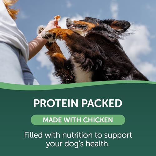 Healthfuls Chicken Wrapped Fruit Dog Treats, 16oz
